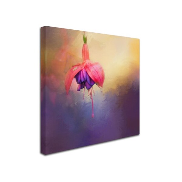 Jai Johnson 'Fuchsia Drop' Canvas Art,18x18